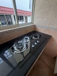 Princess Of Wales Park (D10), Semi-Detached #555537361